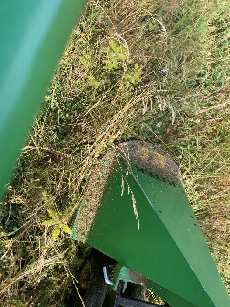 Broyage de l’herbe entre les rangs de sapins 