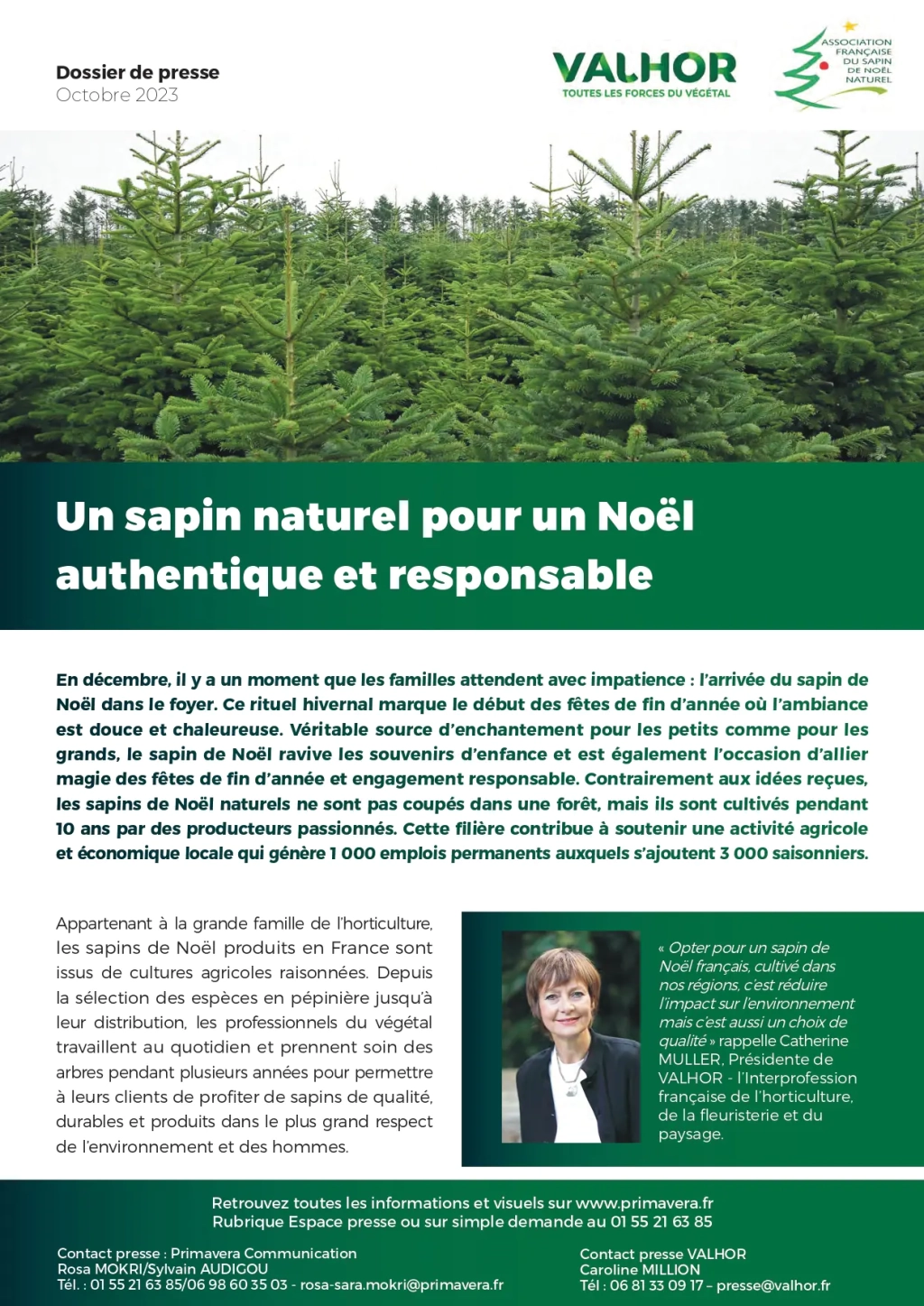 Un sapin naturel pour un Noël authentique et responsable