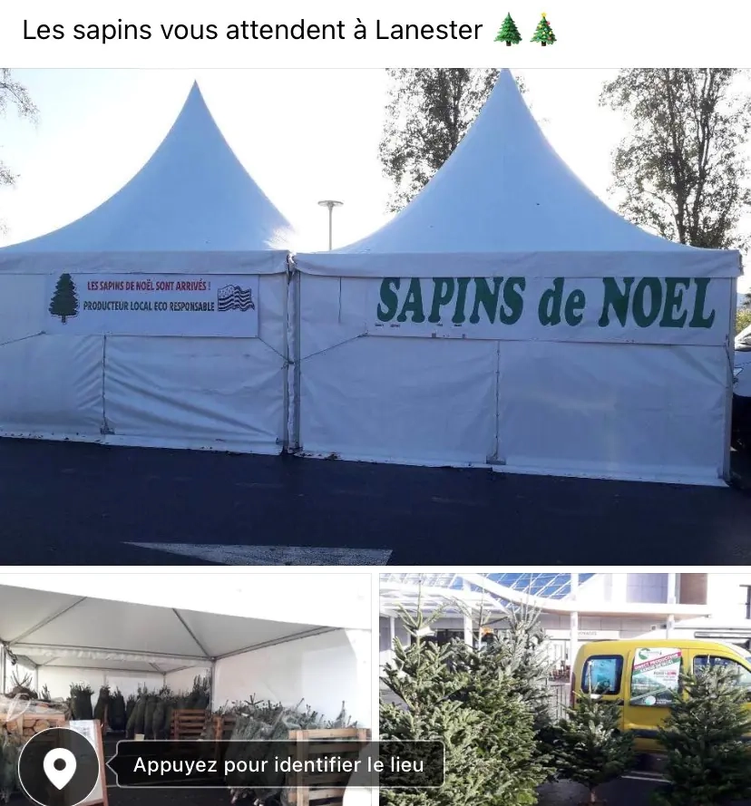 Les sapins vous attendent à Lanester !