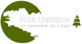 SCEA Tavarson